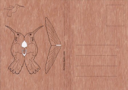 Houten kaart - kolibrie