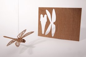 Houten kaart - libelle