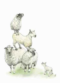 Wenskaart - Sheep Stack