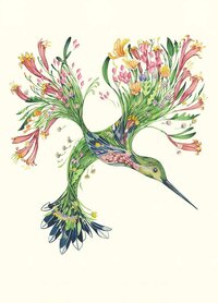 Wenskaart - kolibrie